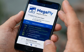 Jornada Megafly